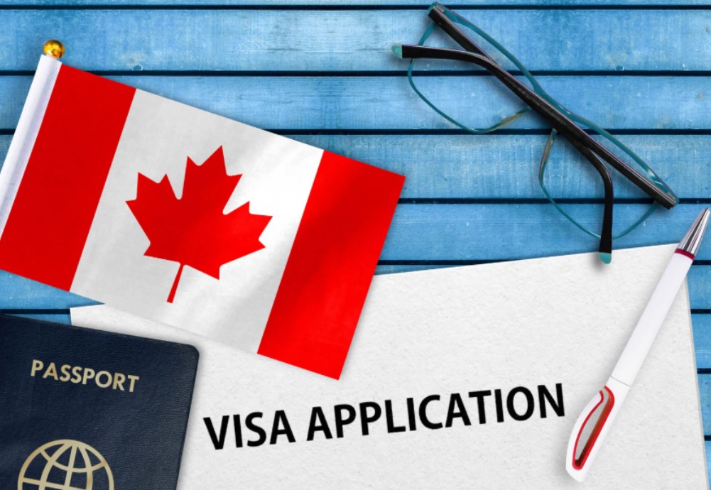 Visa con Empleador Designado